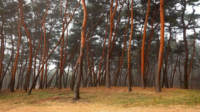 DSCF6876.JPG