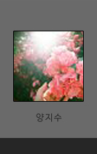 양지수 갤러리